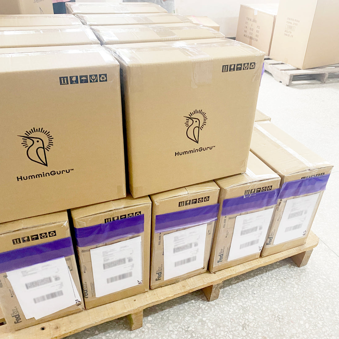 READY to SHIP the Pre-orders