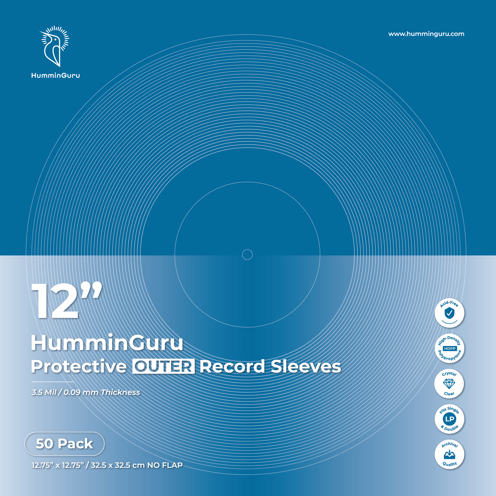GUDGI Vinyl Record Outer Sleeves, 12 Clear 2 Mil Thick Protective LP Outer  Sleeves Wrinkle Free Vinyl Record Sleeves to Protect Your LP Collection